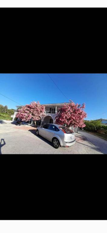 Panos Apartments Laganas Buitenkant foto